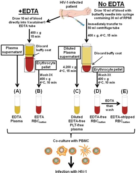 Fractionation of blood from HIV-1-infected patients for | Open-i