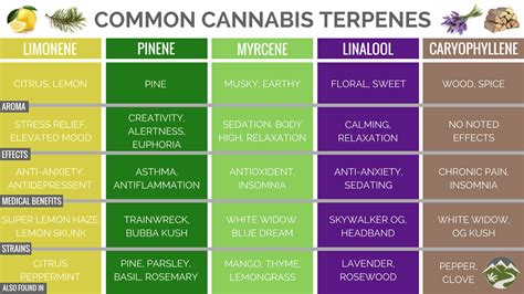 Myrcene Cannabis