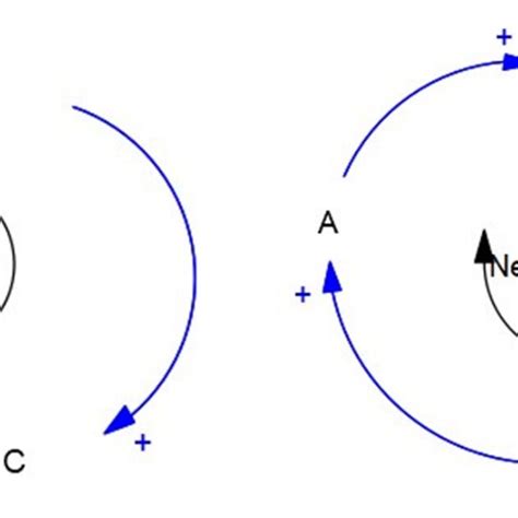 Positive feedback loop (left) and negative feedback loop (right ...