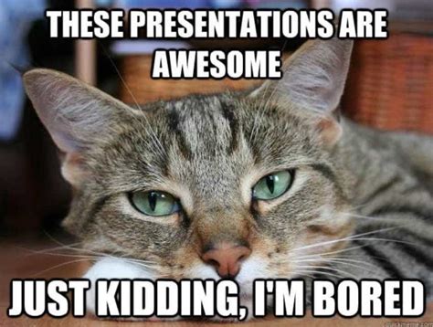 10 Common Memes That'll Make Any Presentation More Relatable | Envato Tuts+