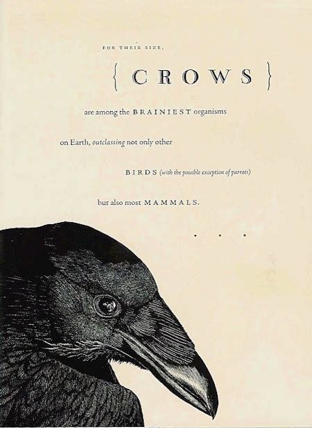 Quotes About Crows. QuotesGram