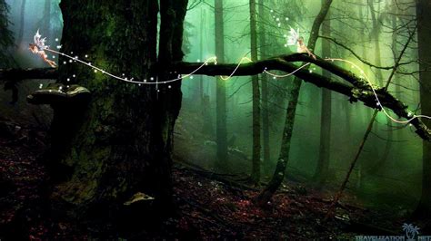 Forest Fairy Wallpapers - Top Free Forest Fairy Backgrounds - WallpaperAccess