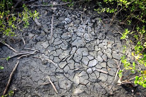 Dry land stock photo. Image of background, natural, arid - 34763240