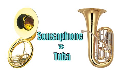 Sousaphone vs Tuba – What are the Similarities and Differences? in 2022 | Sousaphone, Tuba ...