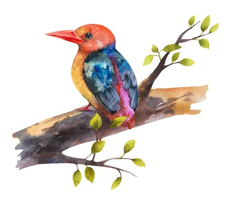 Premium Photo | Watercolor drawing of a bird on a tree branch a beautiful bird sits on a tree branch