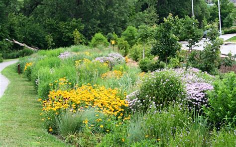 Native Landscape Design: How to Achieve the "Native" Look - Great Plains Nursery