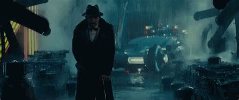 Bladerunner Gaff GIF - Bladerunner Gaff Live - Discover & Share GIFs