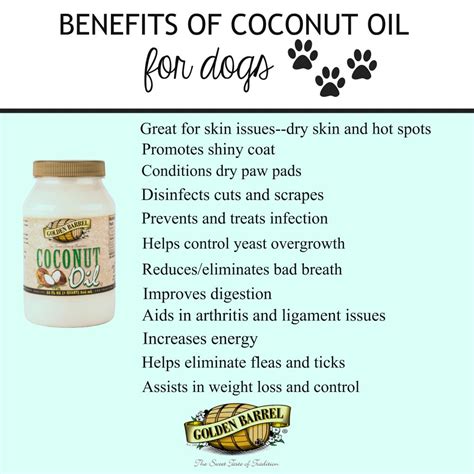 Peanut Butter Coconut Oil Dog Treats - Golden Barrel