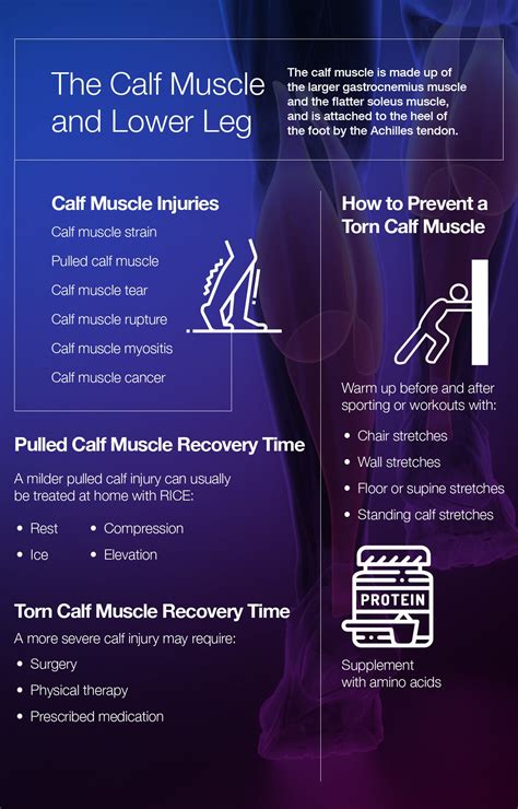 Pulled, Torn Calf Muscle Recovery Time: How to Heal Your Lower Leg – The Amino Company