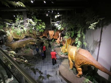 Dinosaur exhibit, from second floor - Picture of Canadian Museum of Nature, Ottawa - TripAdvisor