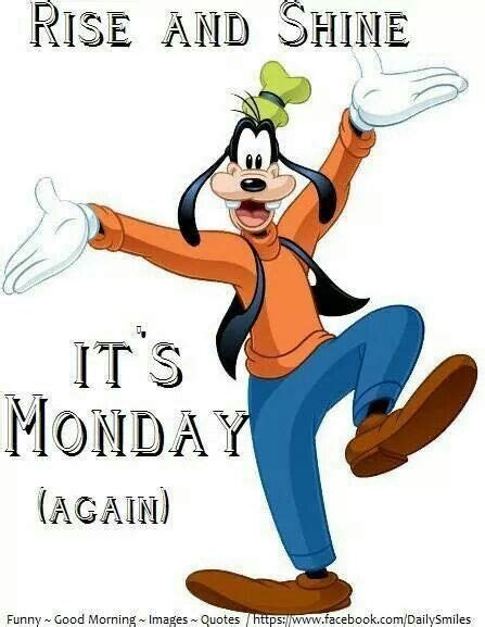 IT'S MONDAY (AGAIN) … | Funny good morning images, Monday humor, Happy saturday quotes