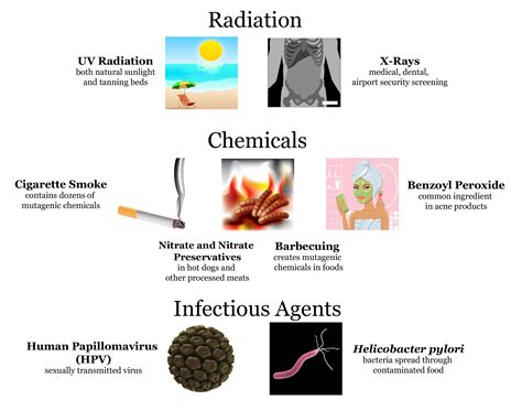 Mutation | CK-12 Foundation