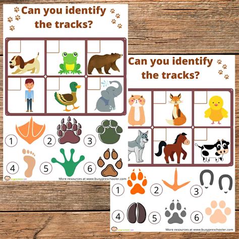 FREE ANIMAL FOOTPRINTS MATCHING WORKSHEET - BusyPreschooler.com