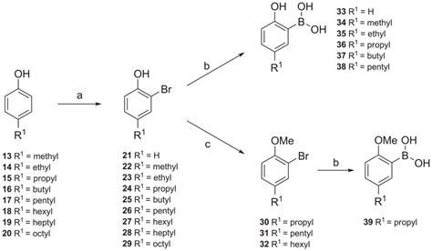 Synthesis of intermeditates. (a) Br2, NaHCO3, CHCl3, 0°C; (b) three... | Download Scientific Diagram