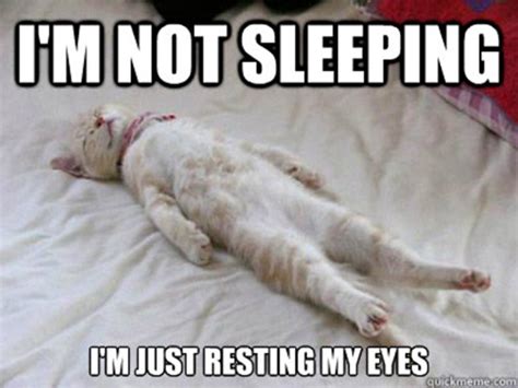 41 Very Funny Sleeping Memes Graphics, Pictures & Images » Picsmine