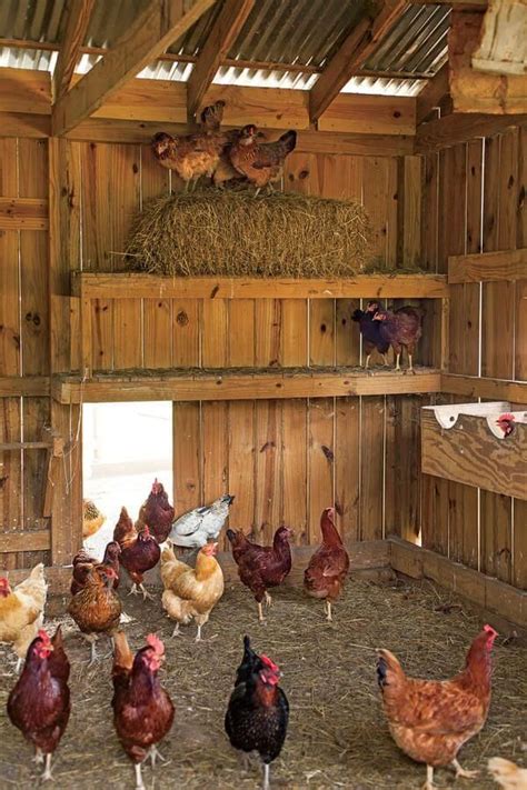 50 Beautiful DIY Chicken Coop Ideas You Can Actually Build ...