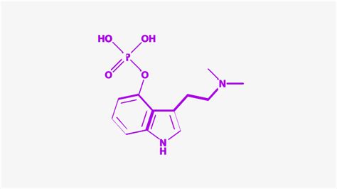 Psilocybin Therapy Information- UC Berkeley BCSP