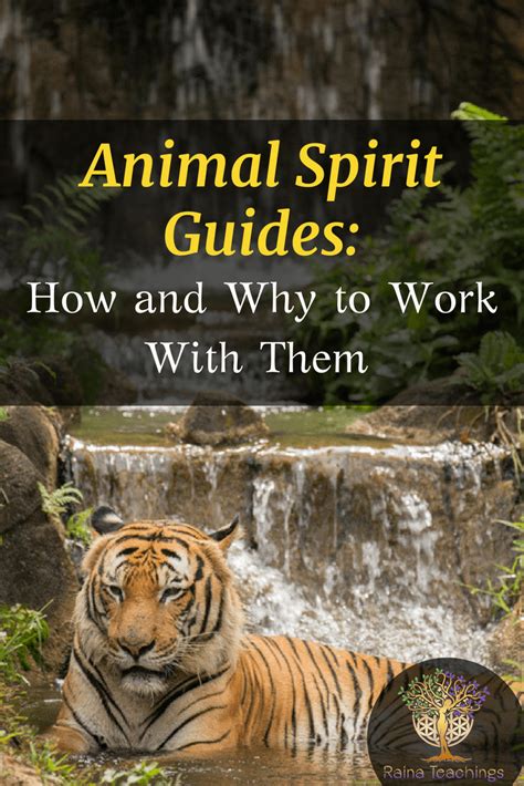 Animal Spirit Guides | Raina Teachings