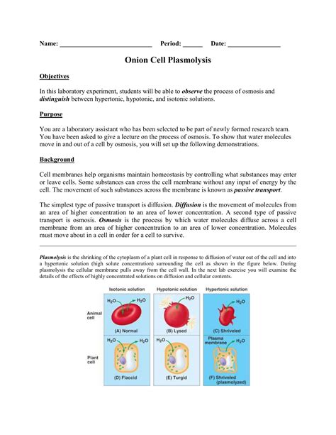 Onion Cell Plasmolysis Lab