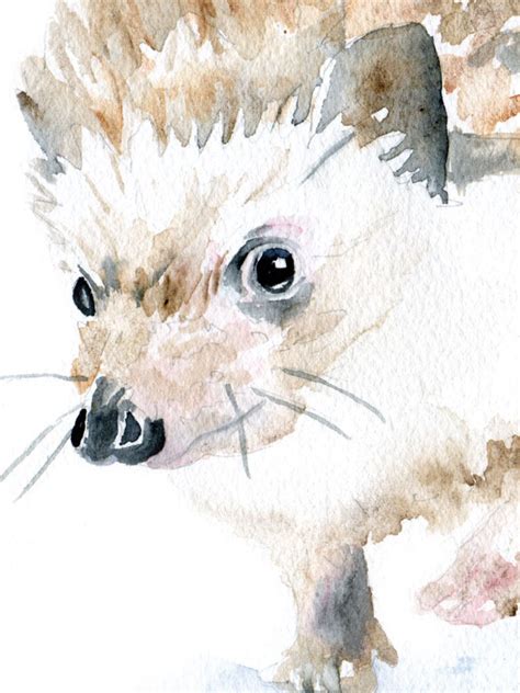 Hedgehog Watercolor Painting Giclee Print 14 X 11 in | Etsy