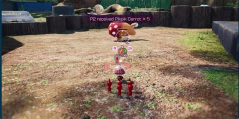 Things You Should Know About Pikmin 4's Co-Op