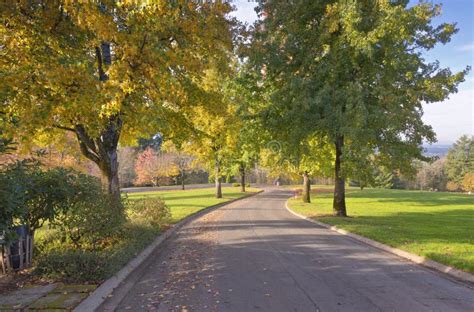 Willamette National Cemetery Grounds Oregon. Stock Image - Image of road, landscape: 80048827