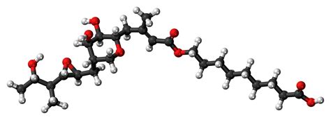 Mupirocin - Wikiwand