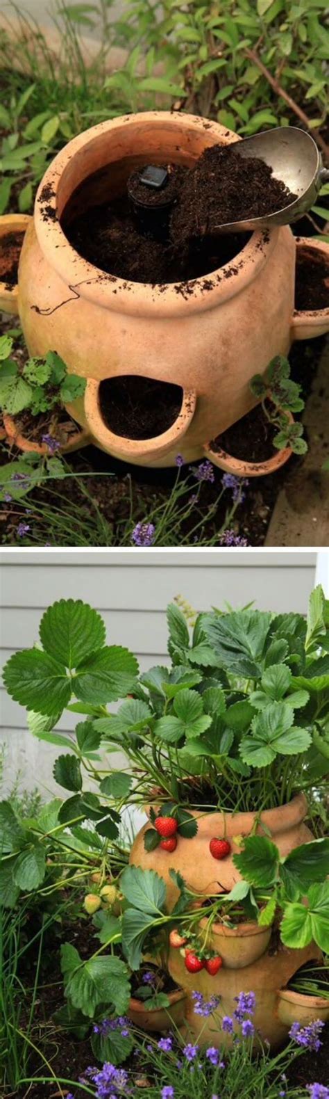 How to Plant a Strawberry Pot: 20+ Creative Strawberry Pot Plant Ideas