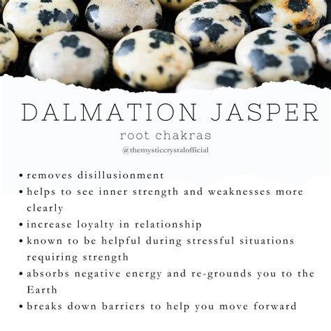 Dalmatian Jasper | Crystals, Crystal healing stones, Dalmatian jasper