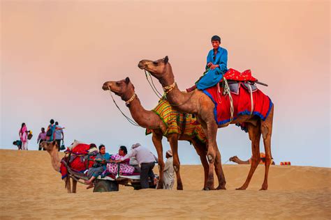 Planning a camel safari in the Thar Desert? Here’s what to know | Times of India Travel