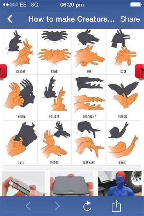 How To Make Shadow Shapes With Your Hand - Musely