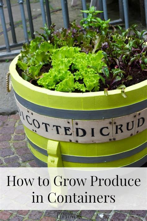 How to Grow Produce in Containers