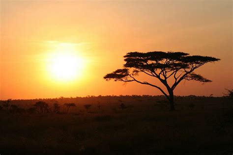 Sixteen Sublime Safari Sundowner Spots | African Budget Safaris