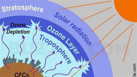 Petition · Rylee B.: We can stop Ozone Depletion! · Change.org