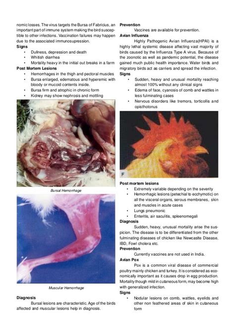 Poultry diseases