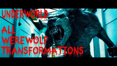 Underworld Werewolf Transformation