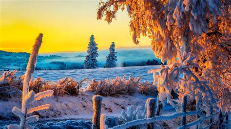 Winter PC 4k Wallpapers - Wallpaper Cave