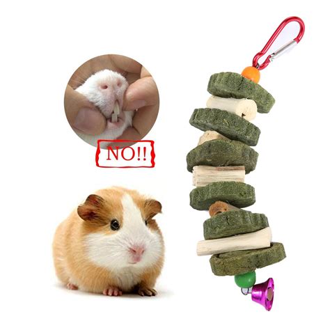 Guinea Pig Chew Toys For Teeth | Wow Blog