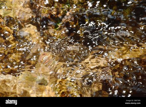 river flowing on cataract and water splashing Stock Photo - Alamy