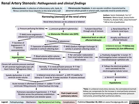 Renal Artery Stenosis Pathophysiology