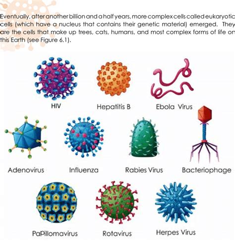 2: Different kinds of viruses that cause different diseases | Download ...