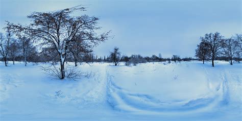 Snowy Path • HDRI Haven