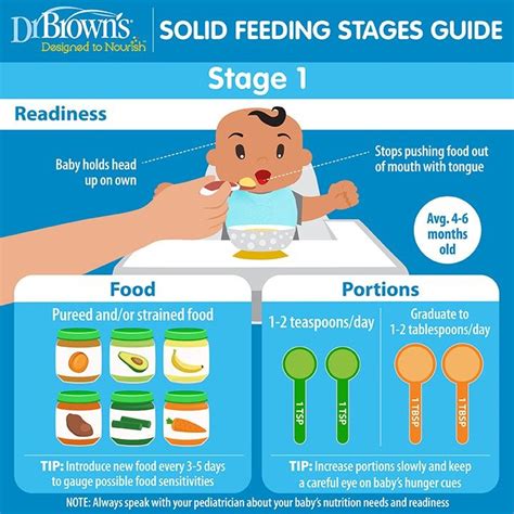 Solid Feeding Stages Guide for Babies | Baby food recipes, Baby food by age, Feeding baby solids