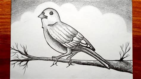 How to Draw Bird Scenery With Pencil Sketch || Bird Pencil Drawing ...