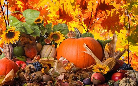 Happy Thanksgiving 2023 Hd Wallpapers For Laptop - Wallpaperforu