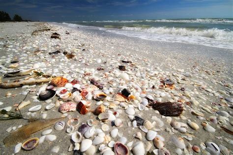 Best Things to Do in Fort Myers, Florida