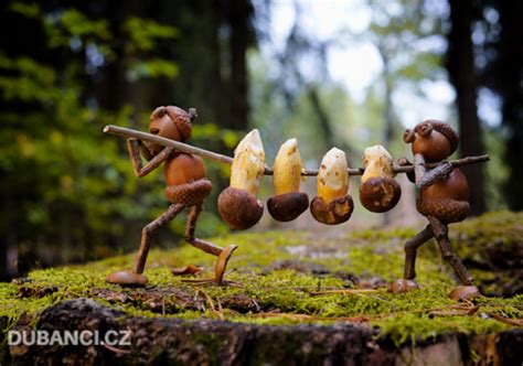 Man Makes Adorable Acorn People and Sends Them on Magical Adventures in the Woods | Acorn ...