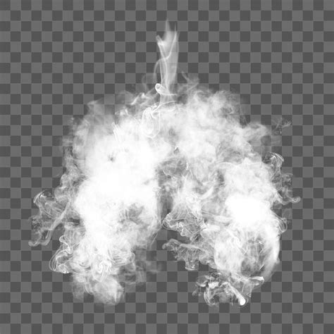 Lung Cancer PNG Images | Free Photos, PNG Stickers, Wallpapers & Backgrounds - rawpixel