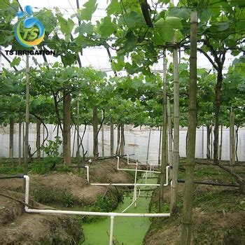 Ts Irrigation Designed Drip Irrigation System For Tree Project Sample - Buy Tree Drip Irrigation ...