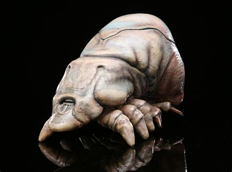 STARSHIP TROOPERS - Brain Bug Maquette - Current price: $2000